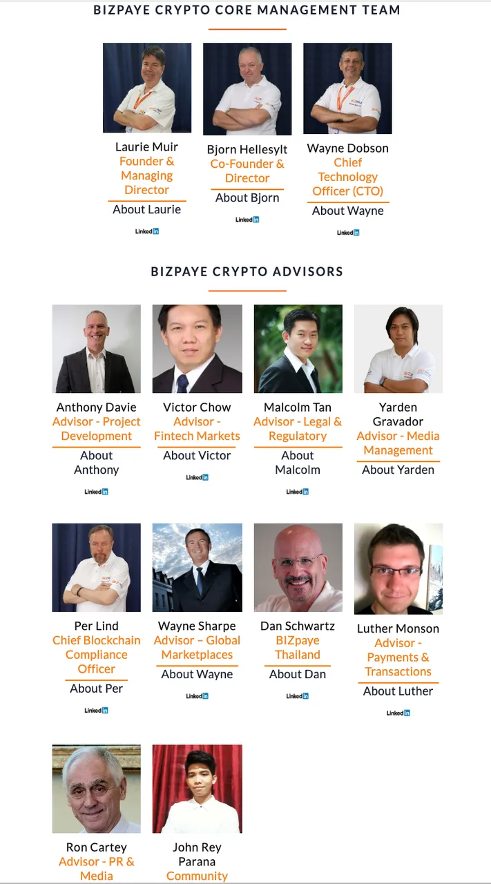 BIZPAYE TEAM.png