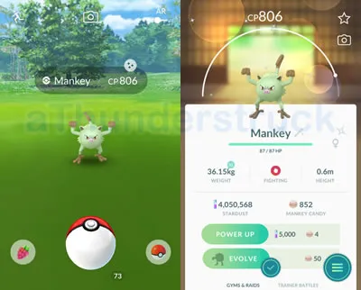 Shiny Mankey.jpg