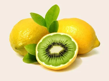 funny fresh1.jpg