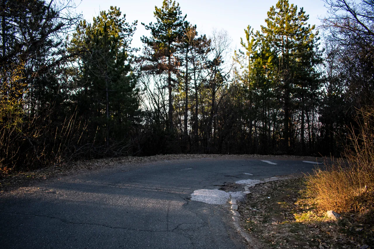 DSC_0017 (2).jpg