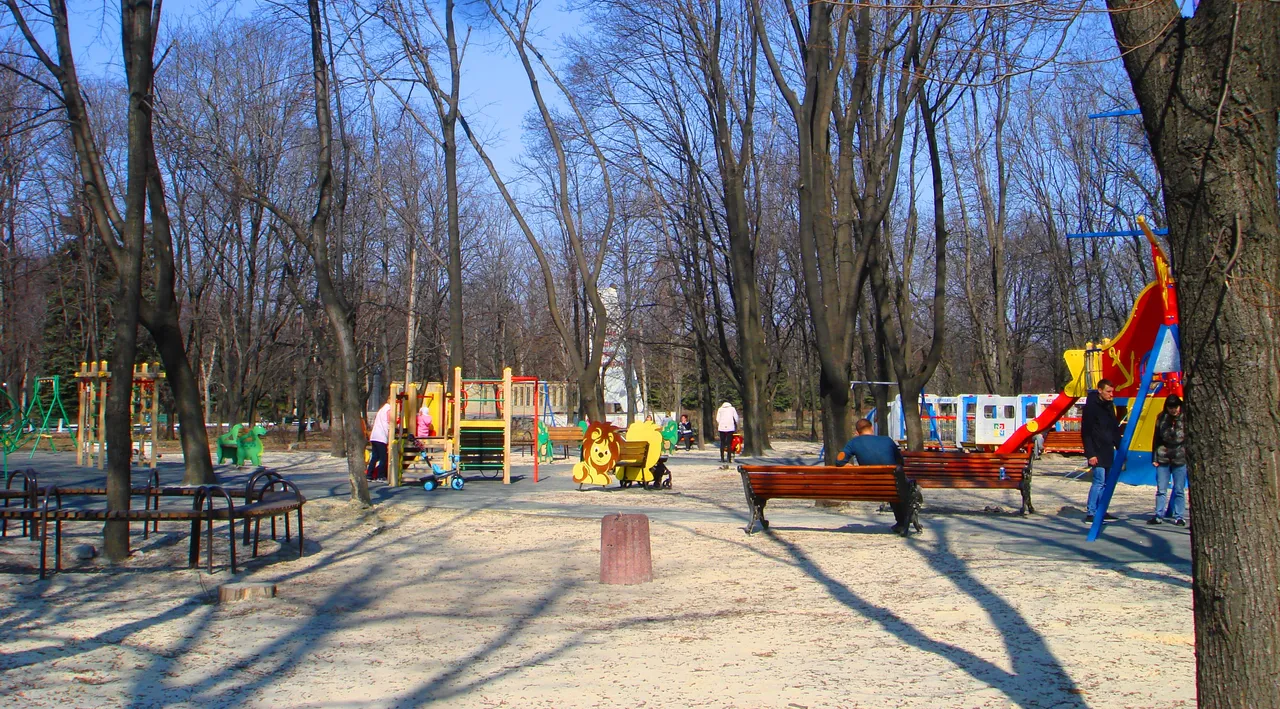 DSC01772-22222.jpg