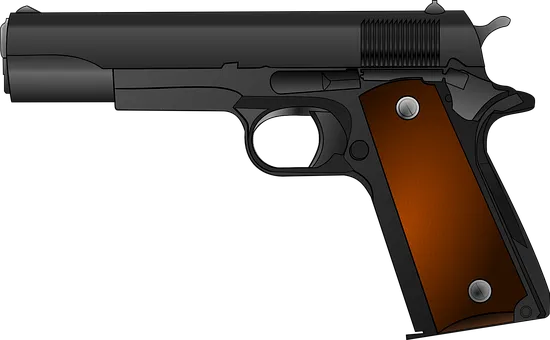 1911 pixabay.png