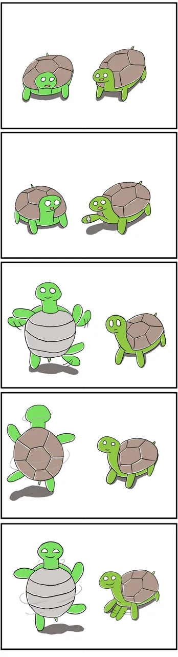 turtle copy3.jpg