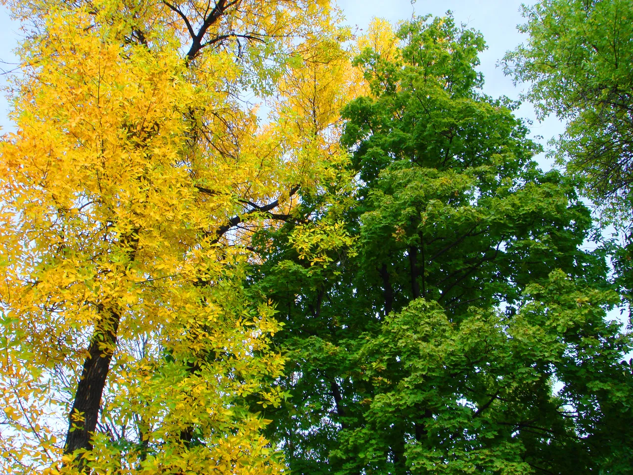 DSC01761-22222.jpg