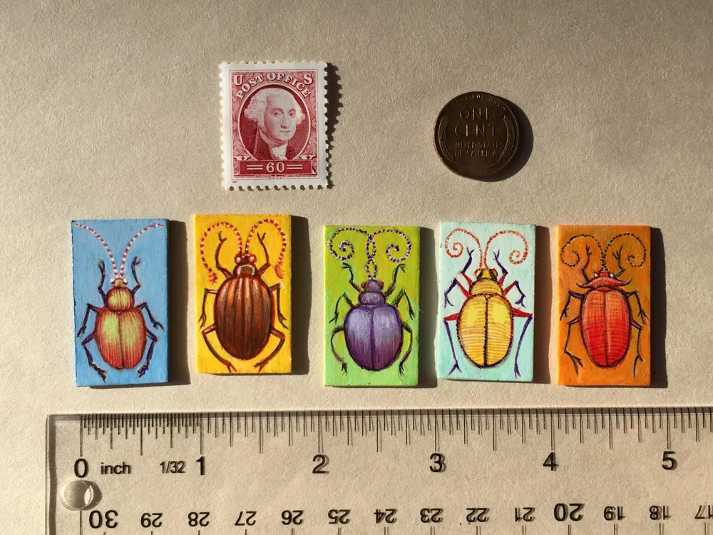 BEETLES1-ZOOM1.jpg