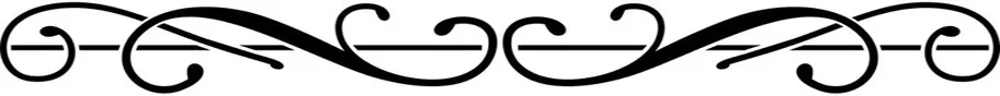 Divider1LONGER.jpg