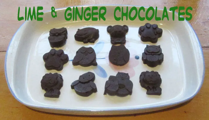 lime-chocs-top.jpg