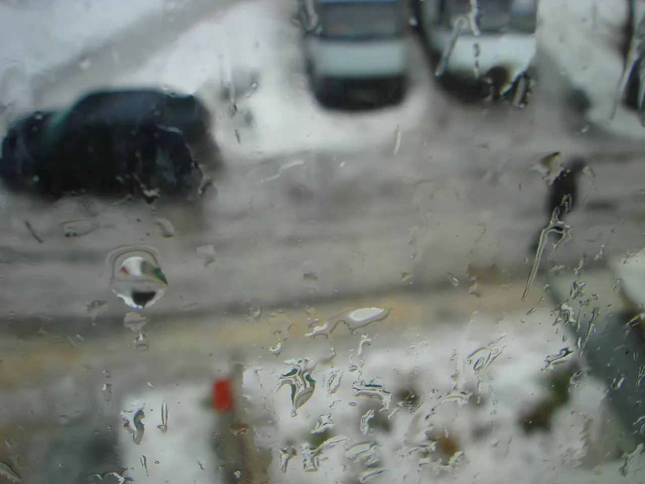 DSC00906-22222.jpg