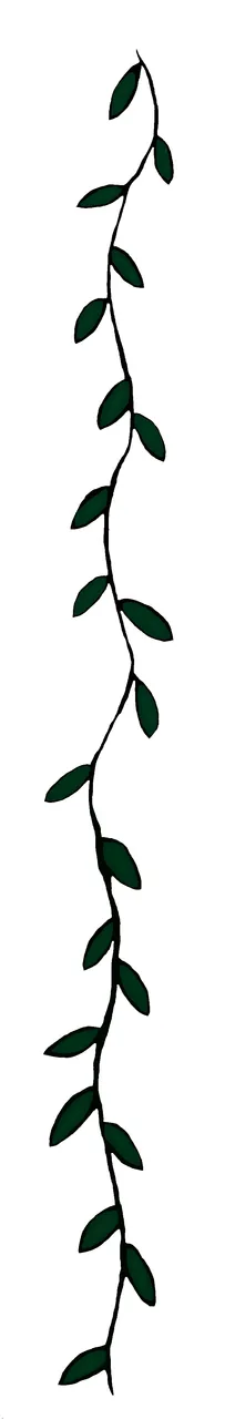 vine divider.jpg