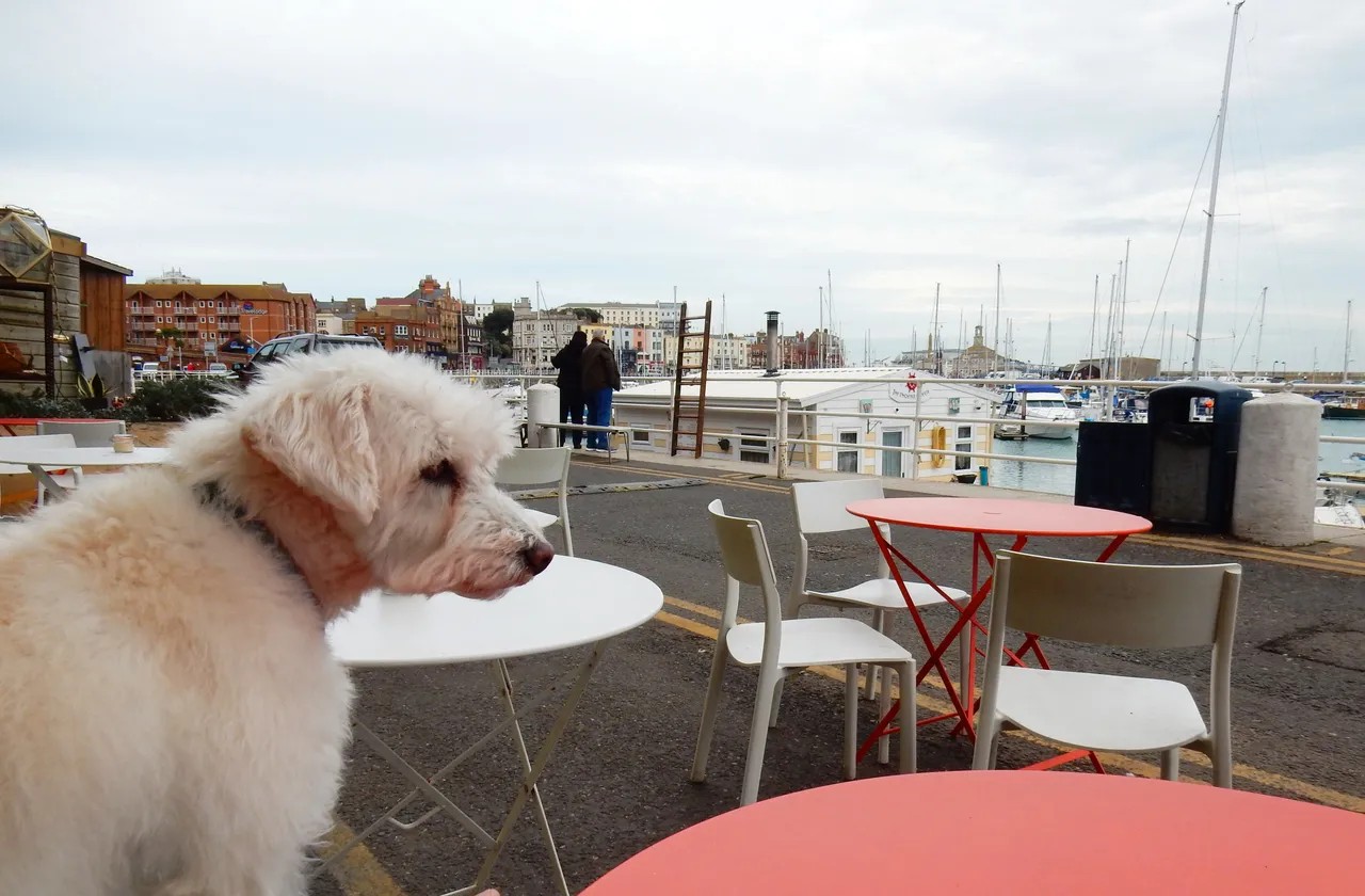 jan17ramsgate7.jpg