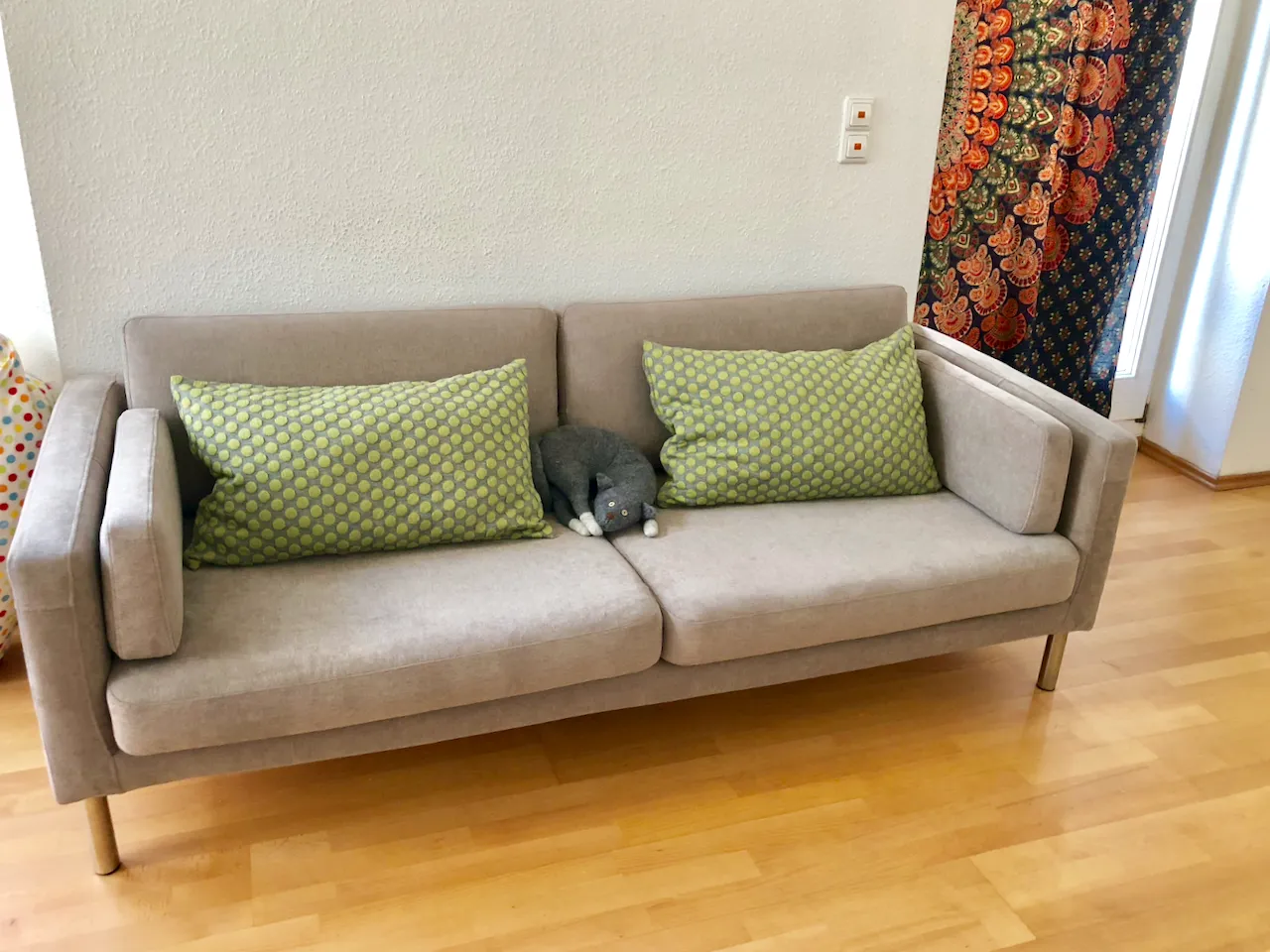 IMG_1668 (1).png