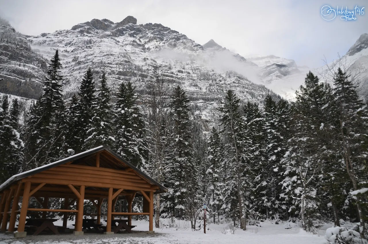 kinney lake8.jpg