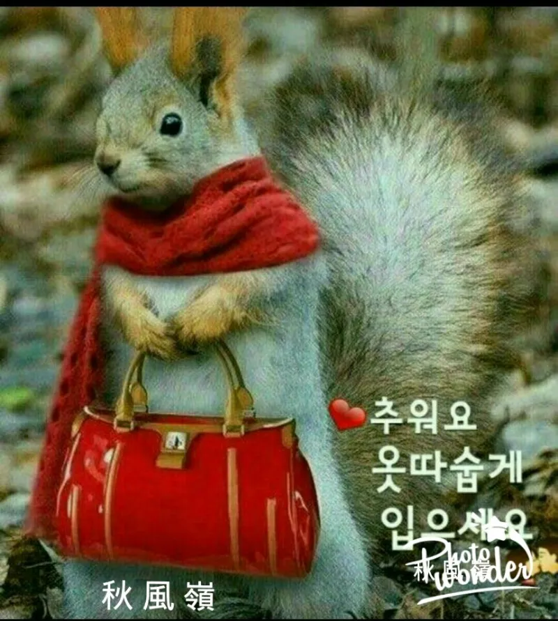 1520999366878.jpeg