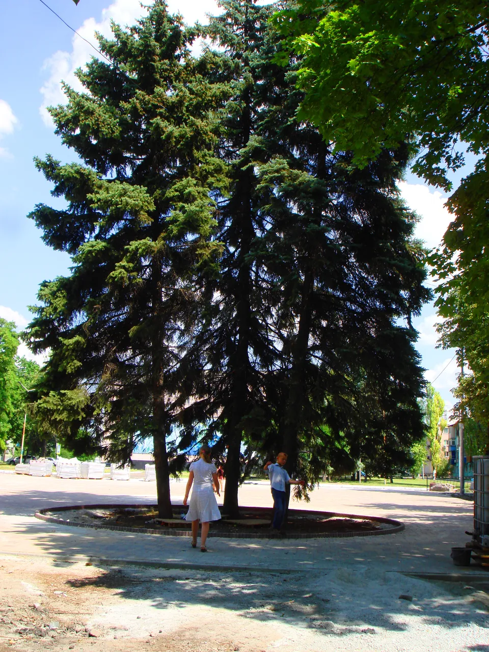 DSC01695-22222.jpg