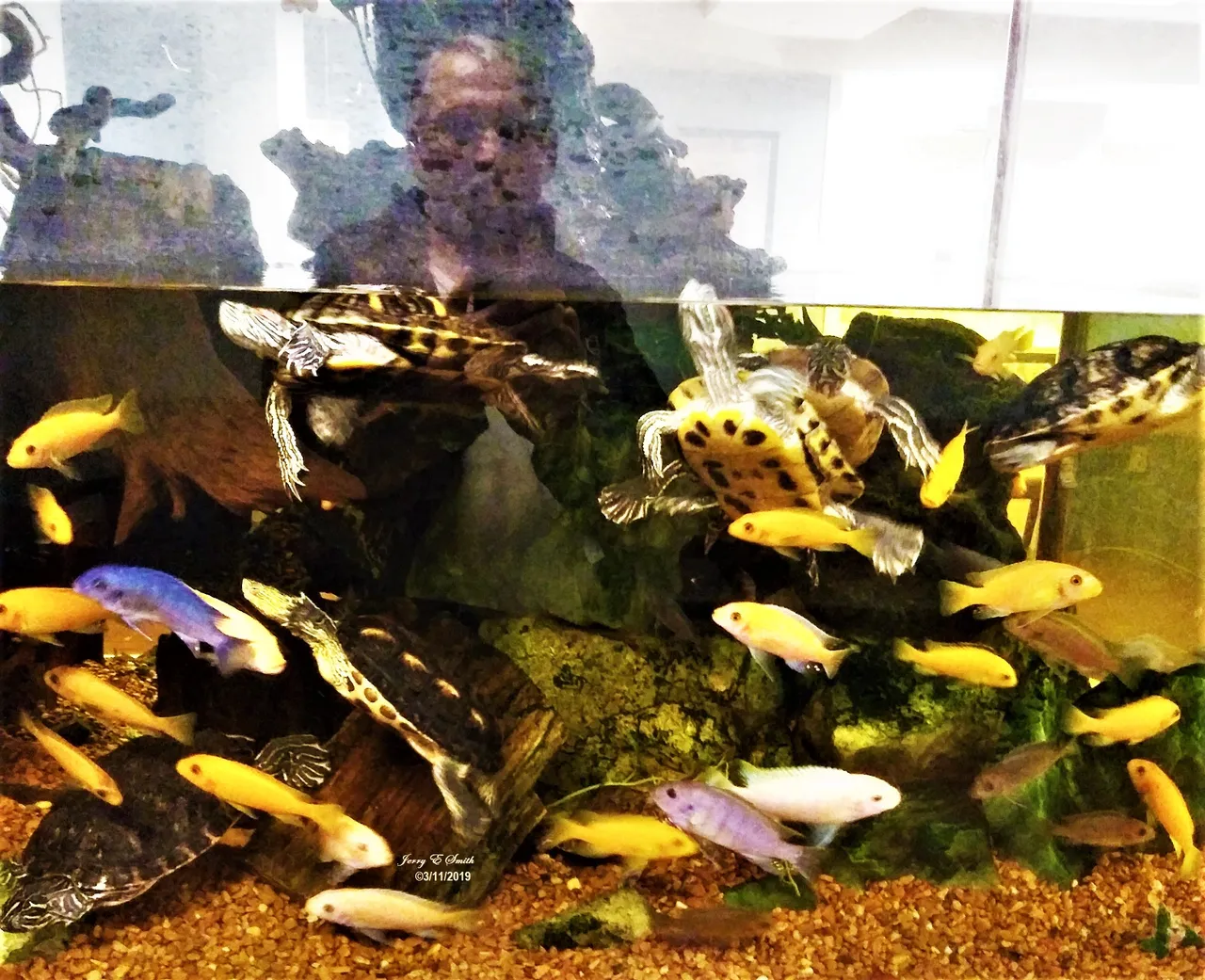 Emory Aquarium.jpg