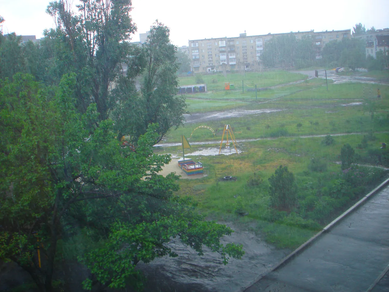 DSC01686-22222.jpg