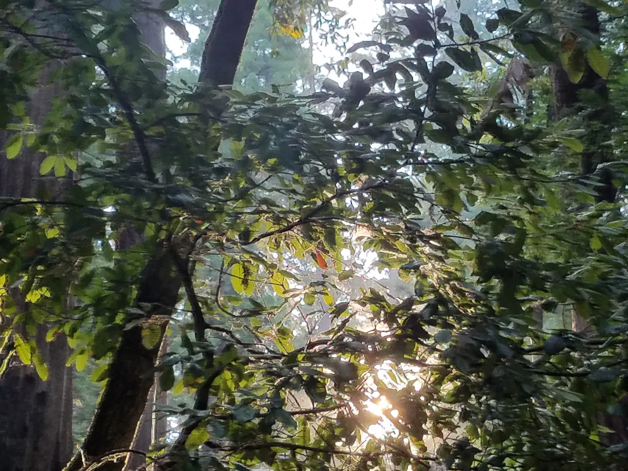 DaylightAgain1.jpg