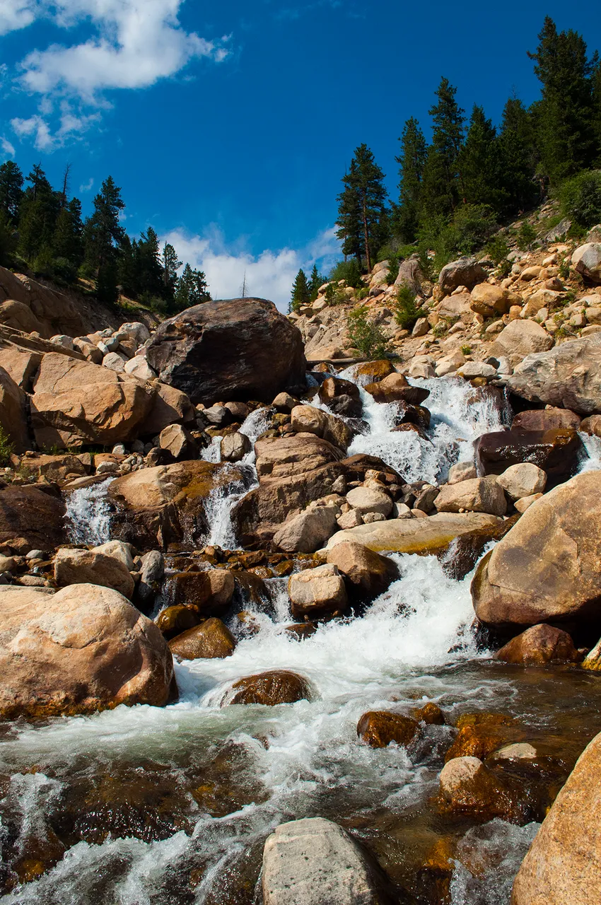 alluvial1small.jpg