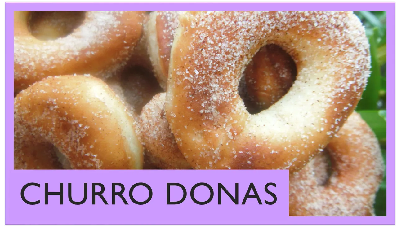 dona portada.png