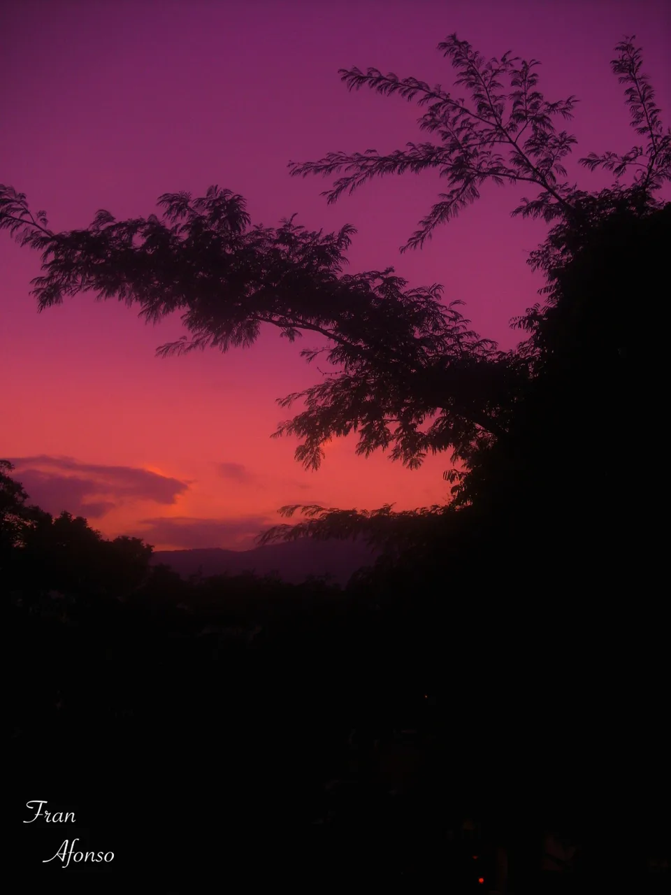 16 Atardecer.JPG