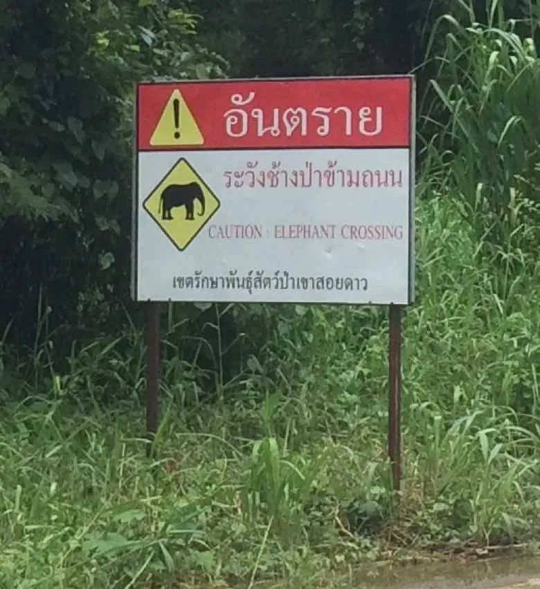 crosselephants.jpg