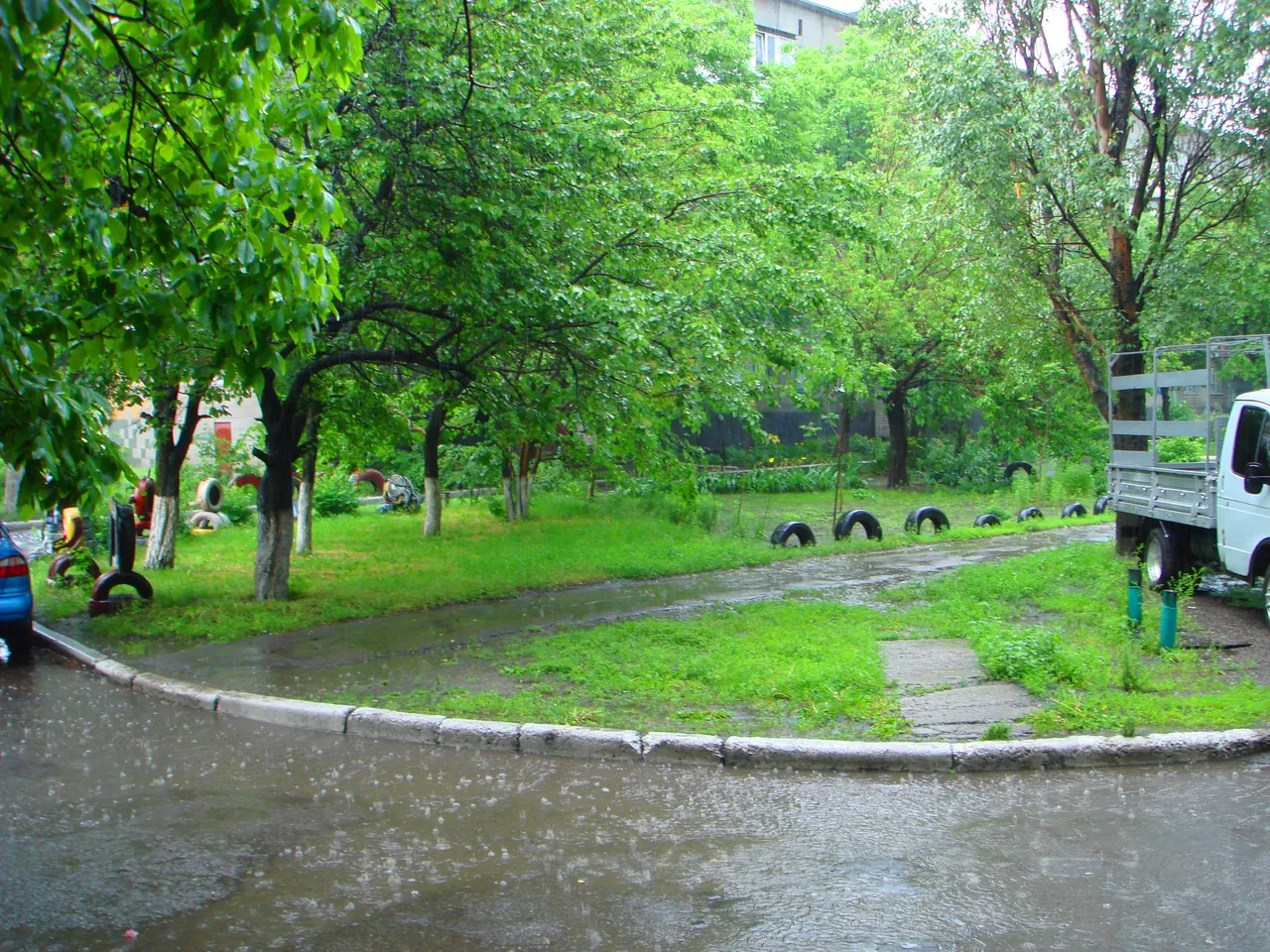 DSC01700-11111.jpg