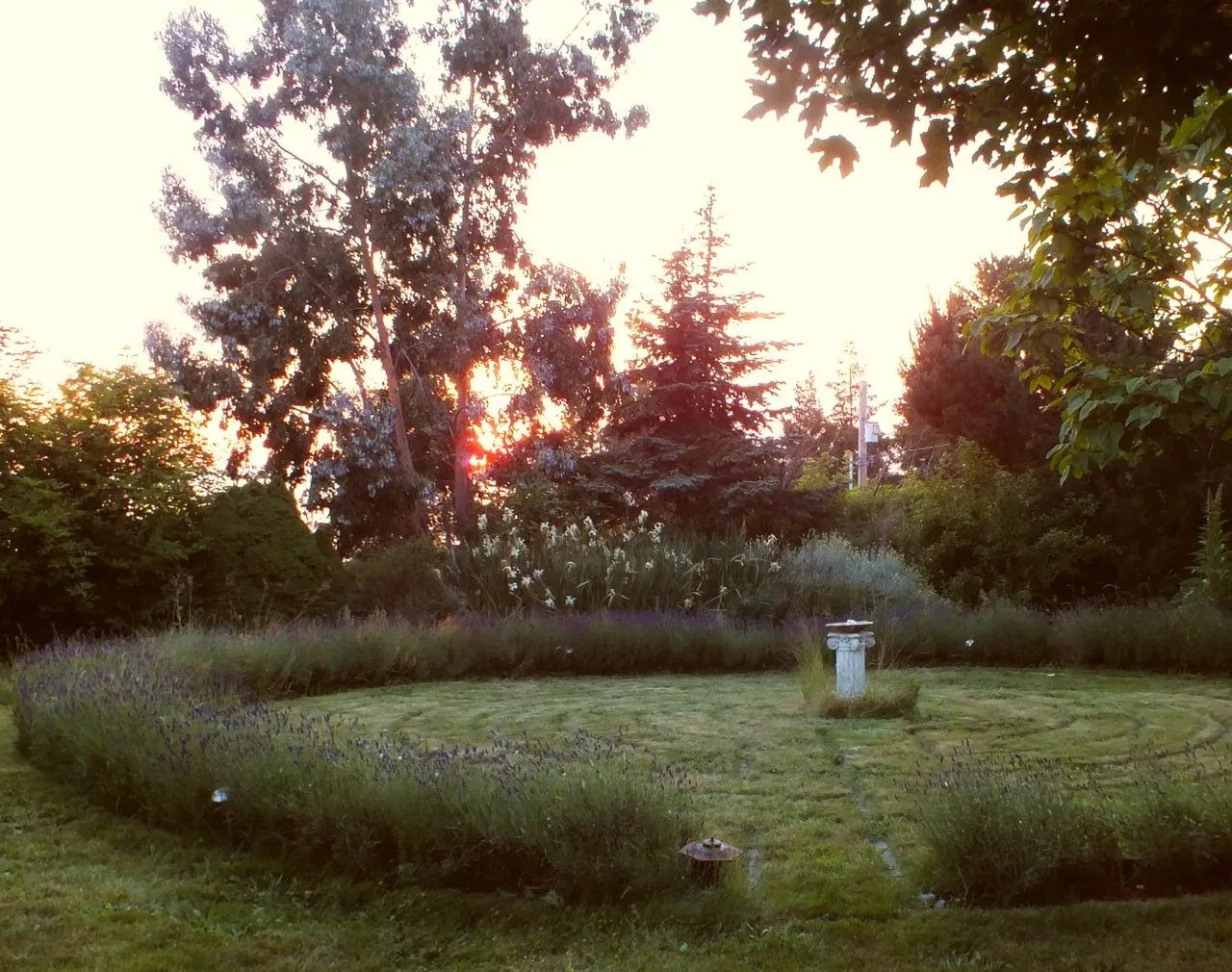 0686-Solstice4.jpg