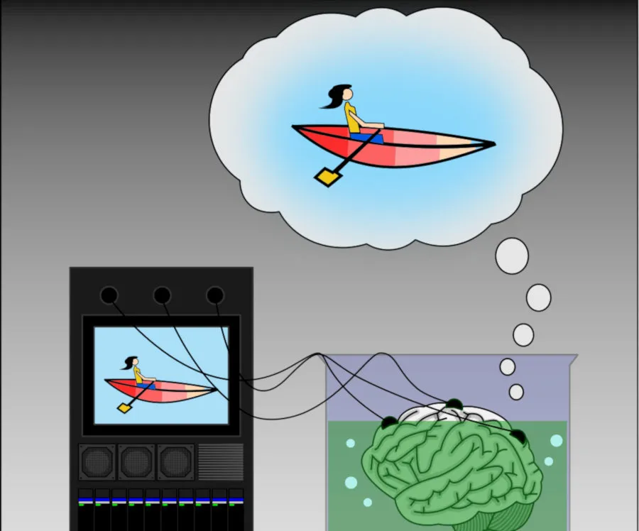 Brain_in_a_vat.jpg