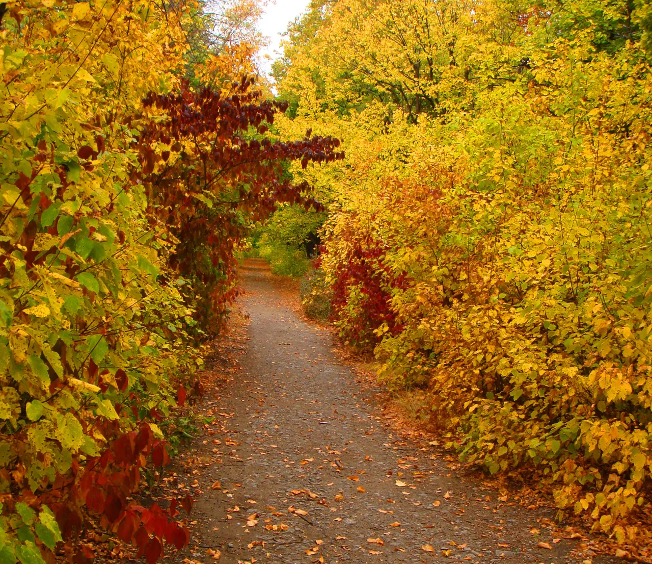 DSC01736-44444.jpg