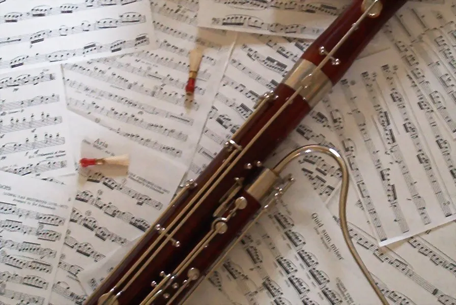 the_bassoonist.jpg