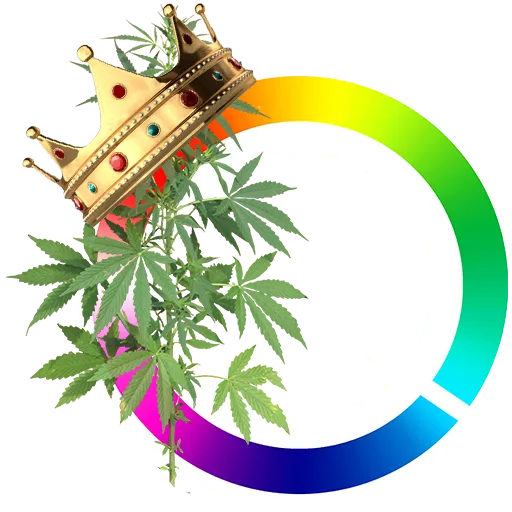 hashkings_logo.png