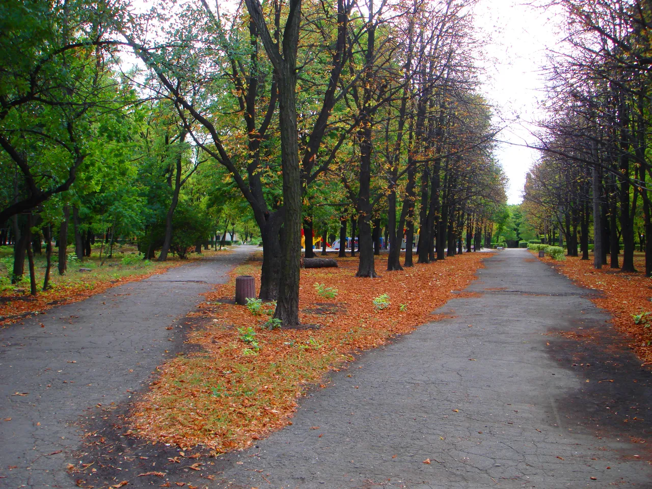 DSC01767-22222.jpg