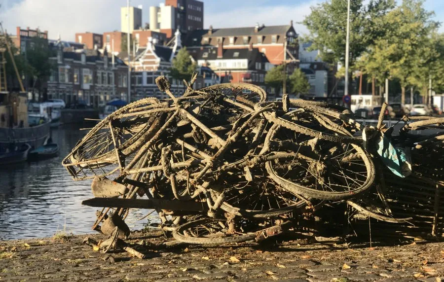 fietsen_vissen.jpg