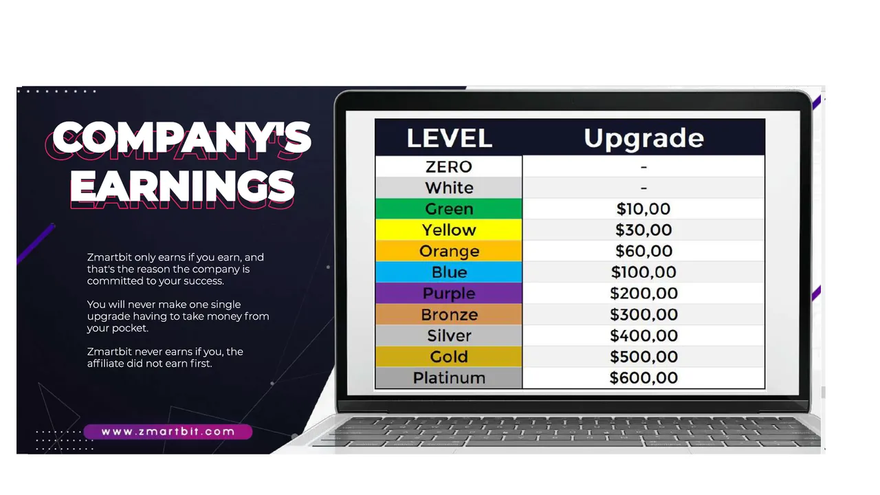 companearnings.png
