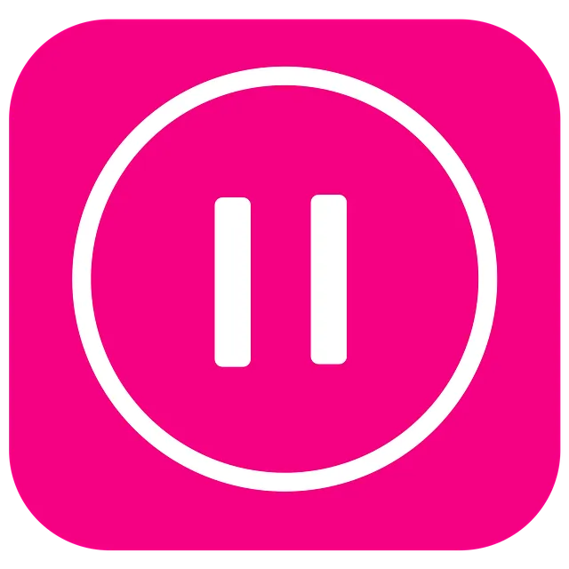 pause button.png