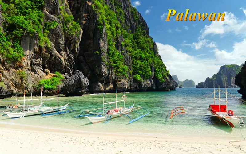 palawan-banner.jpg