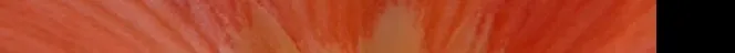 Flor naranja.jpg