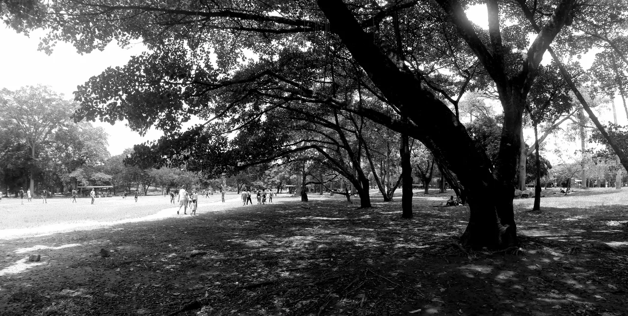 parque negro.JPG