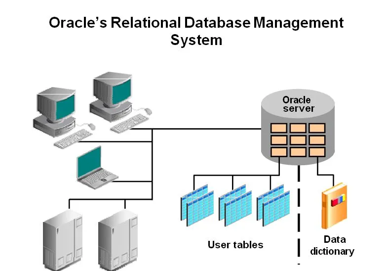 oracle_school1.jpg