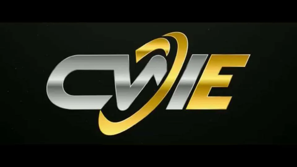 CWE-crypto-bot.jpg