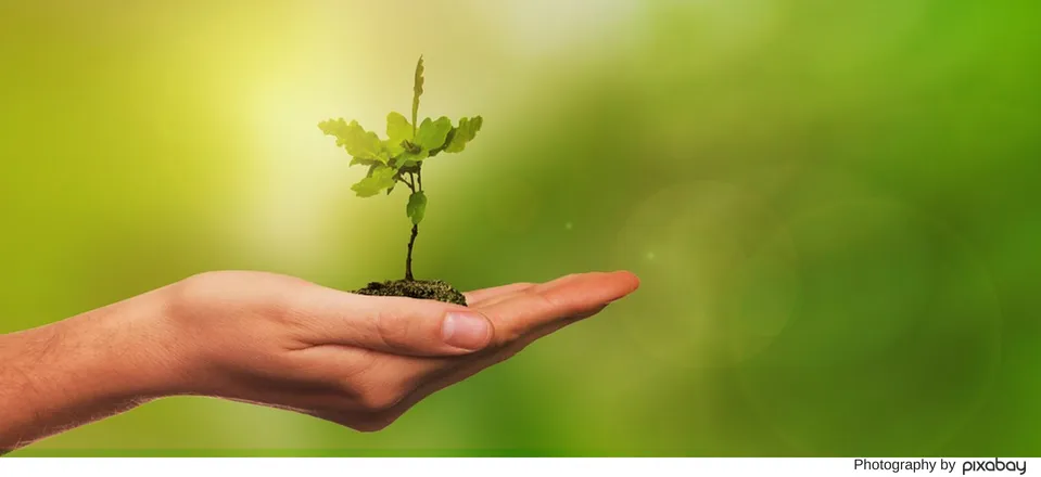 Tree planter.png