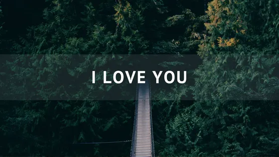 I love you.png