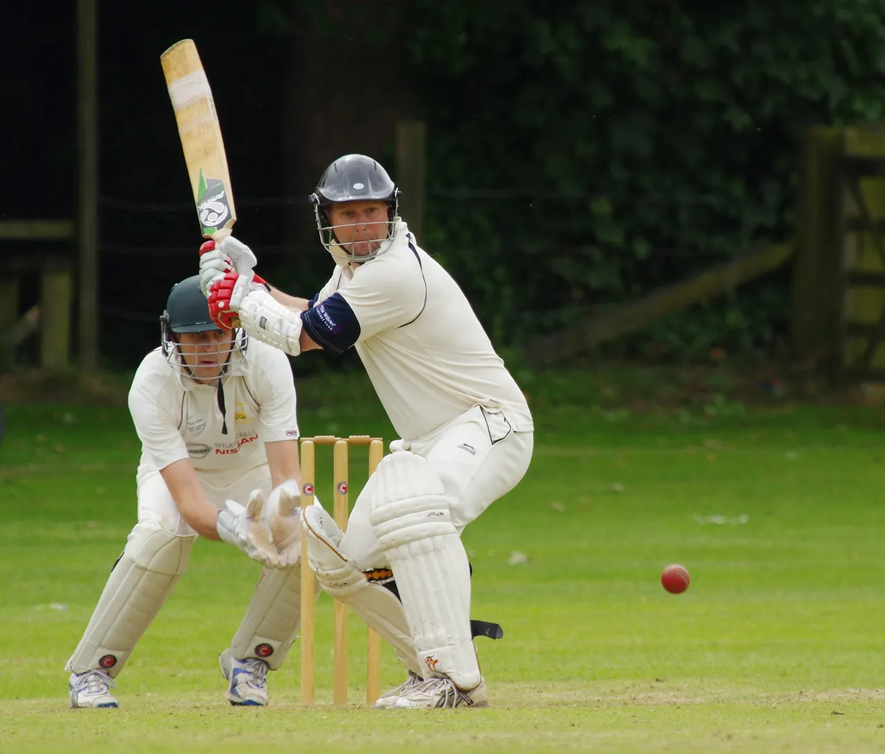 cricket-724617.jpg