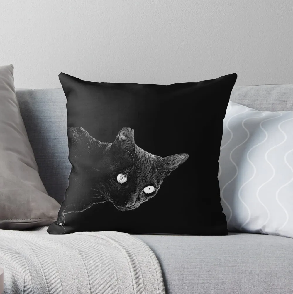 work60295530throwpillow.jpg