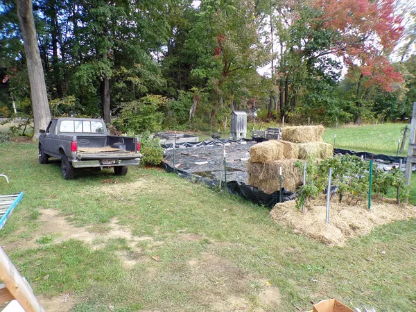 More mulch crop Oct. 2020.jpg