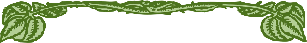 johnnyautomaticleafborder.png