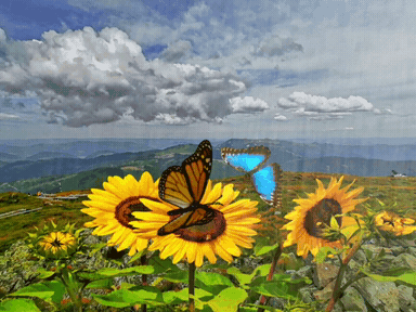 20200816_1803401597575910559.gif