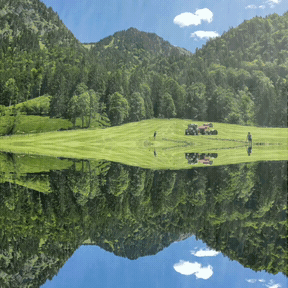 20200706_2130471594045880177.gif