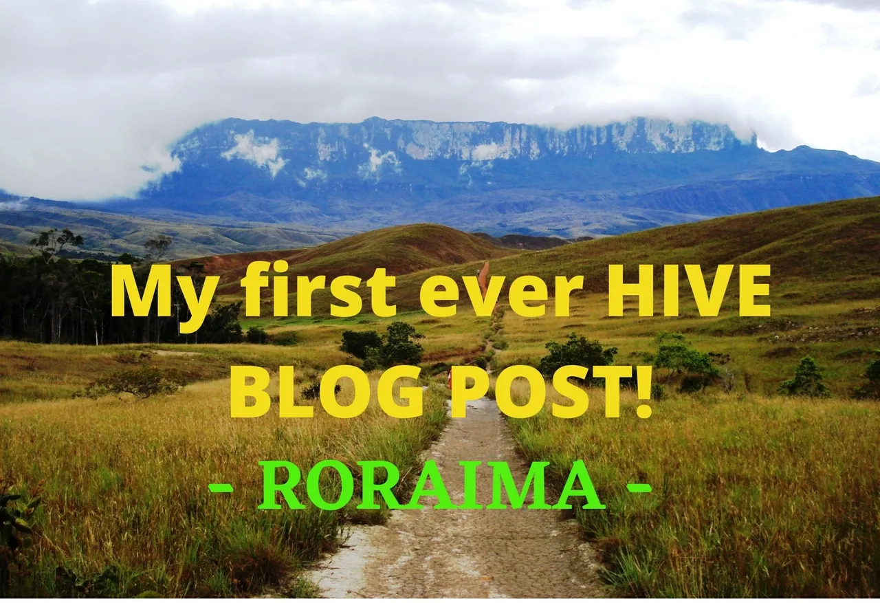 My first ever HIVE BLOG POST!.jpg