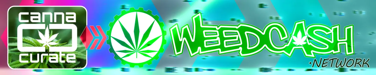 cannacurateweedcashnetworkbanner.jpg
